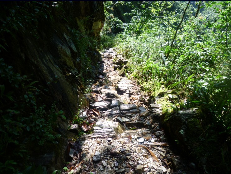 别迷恋墨脱 墨脱只是个传说