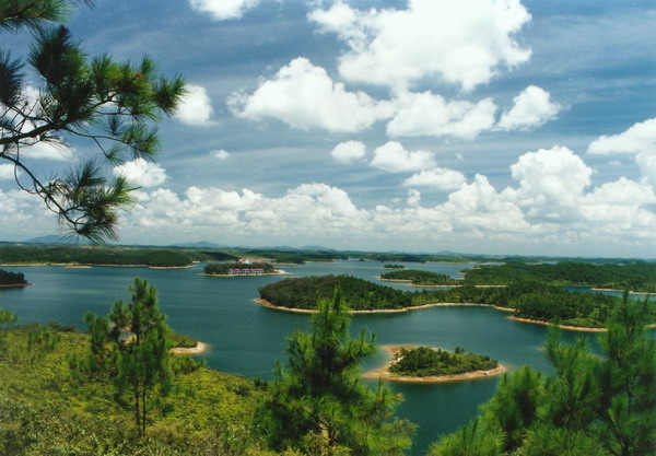 合浦多部门联合整治星岛湖旅游景区非法营运船舶