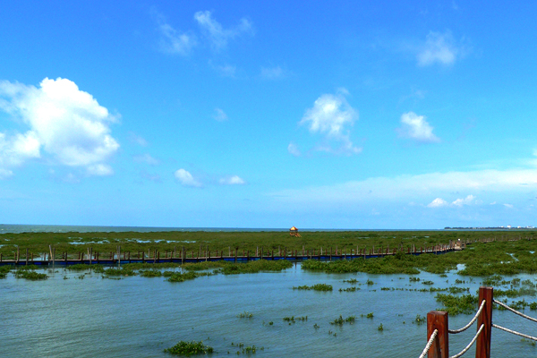 强烈建议开发曲樟的旅游资源,求关注