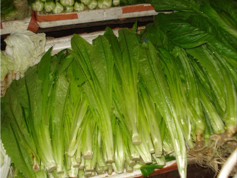 北海菜篮子2月2日菜市场部分菜价参考