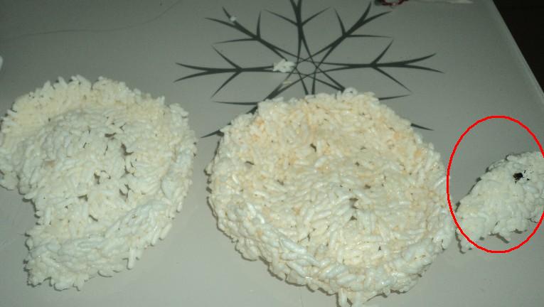 在米散里"冬眠"的苍蝇