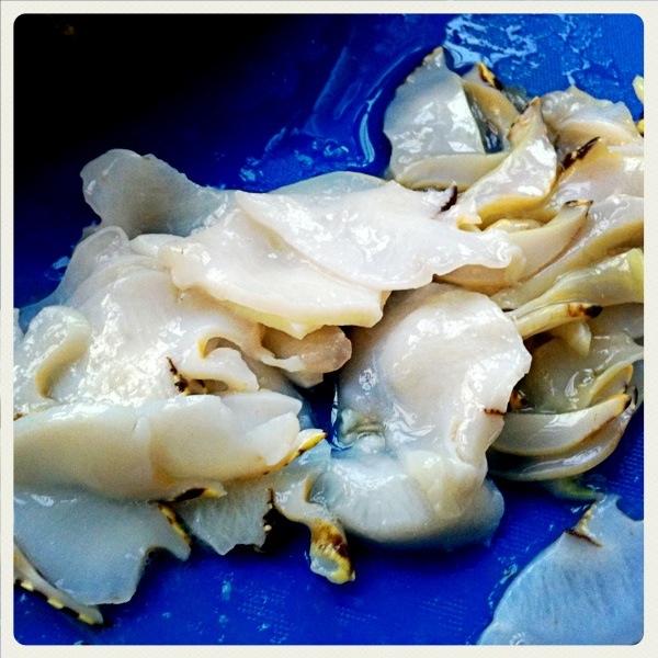 八一下昨天做的晚饭,皇帝螺做的响油螺片