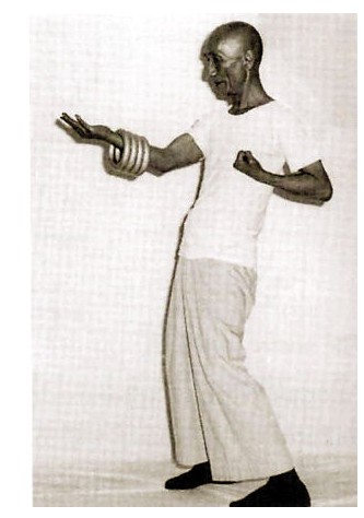 《武林名人录》咏春拳宗师叶问