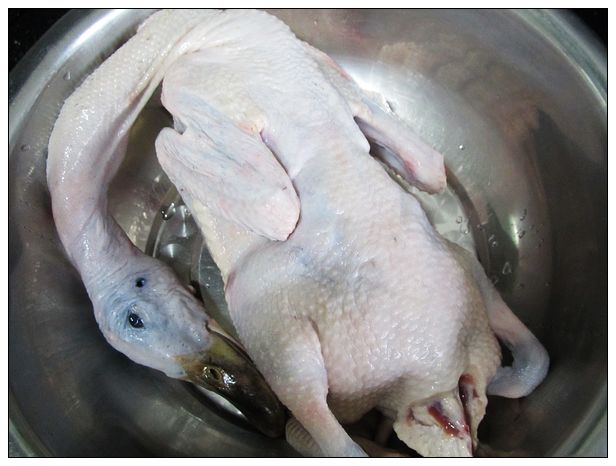 我爱家常菜------紫苏焗鸭