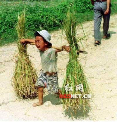恨铁不成钢,可怜天下父母心!