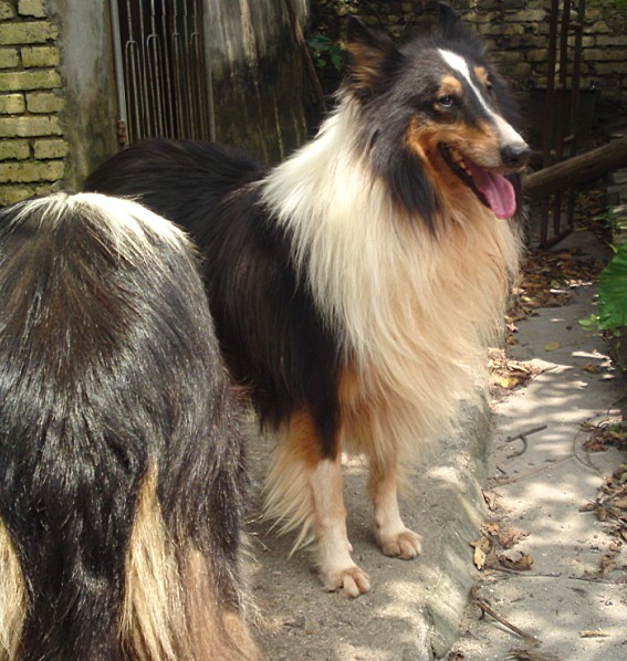 &nbsp;┊&nbsp;举报&nbsp;┊&nbsp; &nbsp;&nbsp;96 人浏览