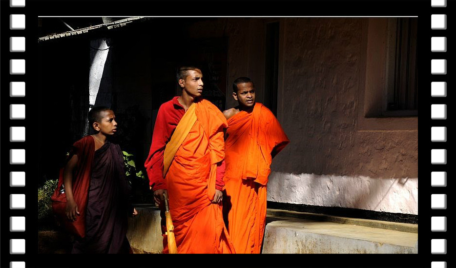 斯里兰卡的僧侣
