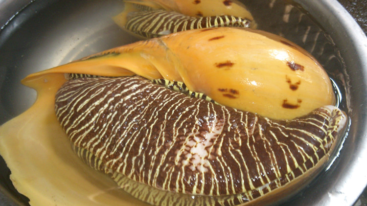 女人吃了脸特别的嫩滑,爱护你的女人就给她补补吧