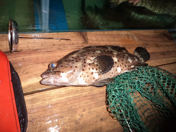 狂人的个人空间 - 个人空间-交朋友,传照片,写日志,新鲜事-北海365网