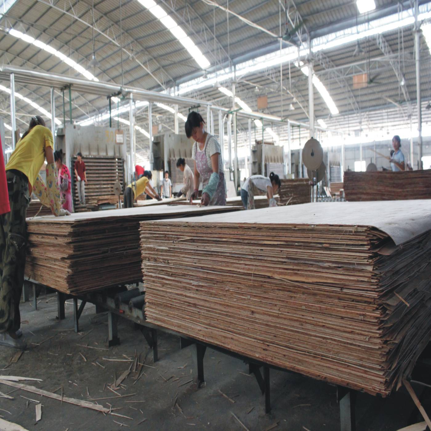 专业人员带你走进板材生产车间!