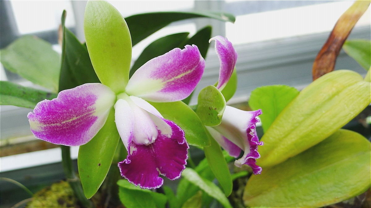 &nbsp;┊&nbsp;举报&nbsp;┊&nbsp; &nbsp;&nbsp;55 人浏览