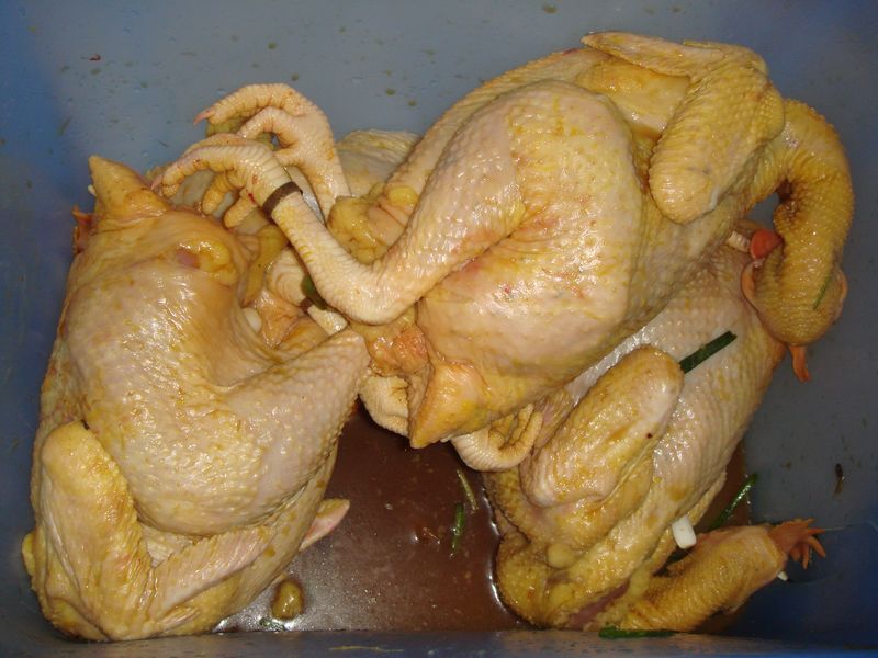 对面的女孩看过来,哥教你烤鱿鱼美女很会阉jj,而且还是个花痴到了