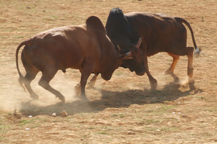 北海团购集资房透露出的房市秘密
