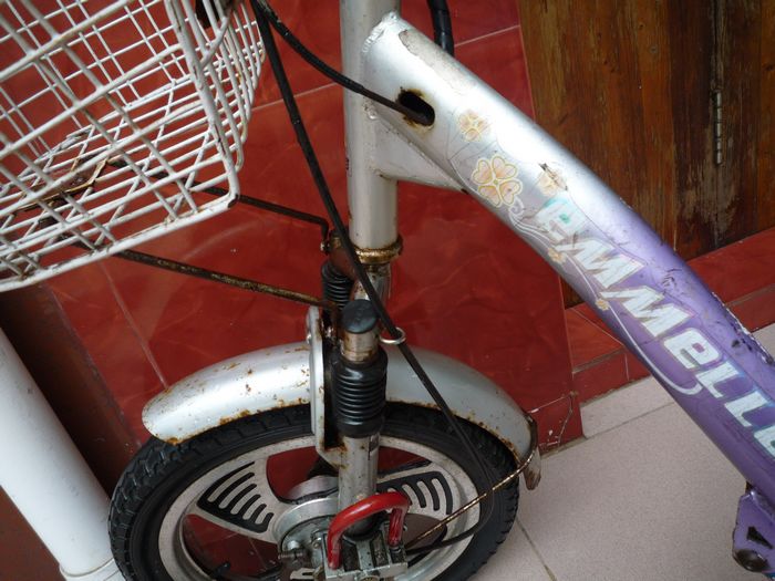 8成新阿玛尼炫丽658c电动自行车,500大洋