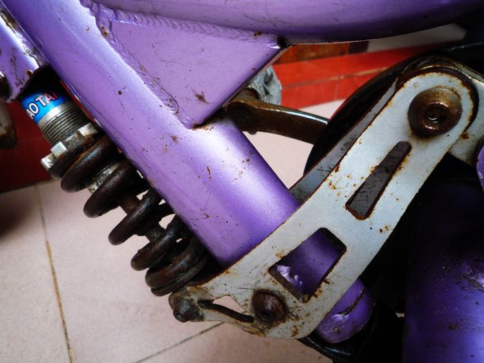 8成新阿玛尼炫丽658c电动自行车,500大洋