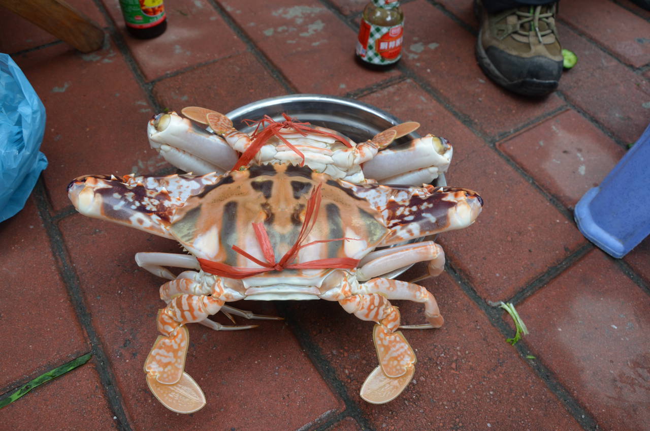 周末包饺子骑行大墩海观沙雕展