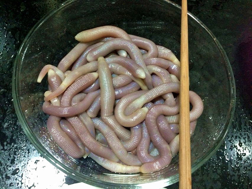 托"相关部门"整治的福,让女汉子大吃一斤【多图,海鲜,慎点】