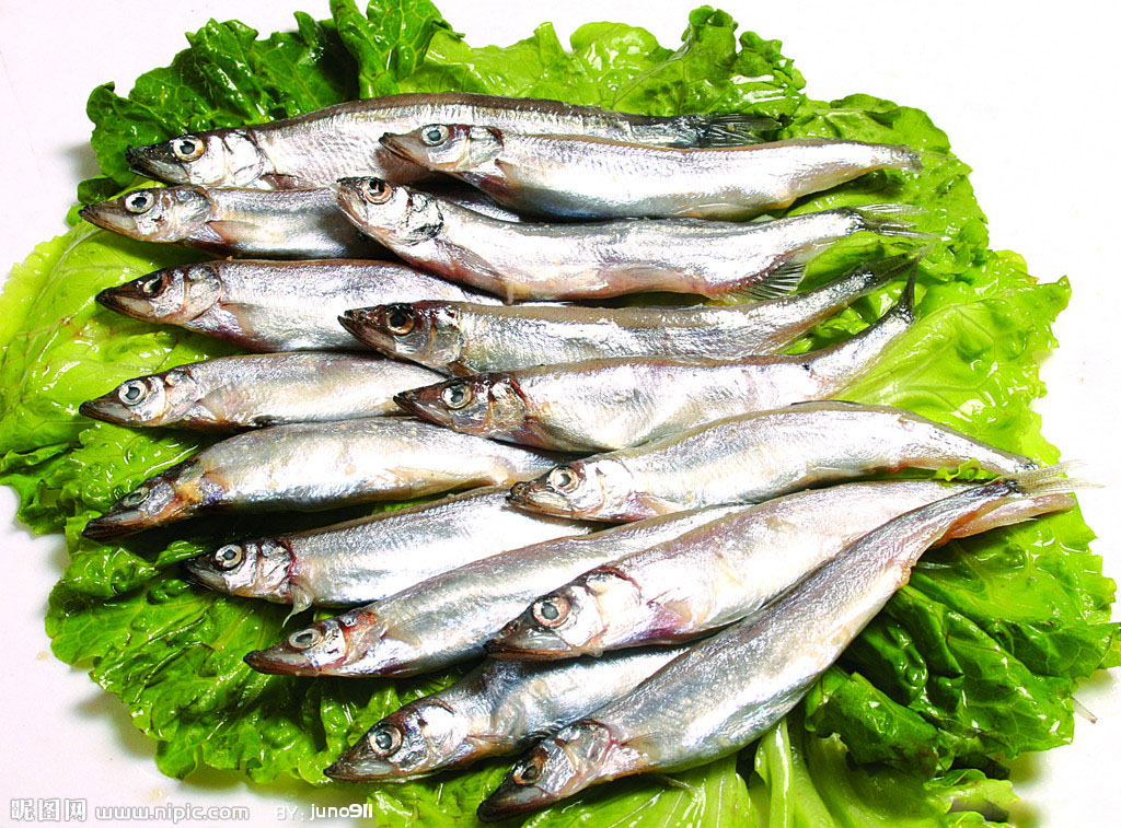 吃货们有新货到了加拿大进口多春鱼