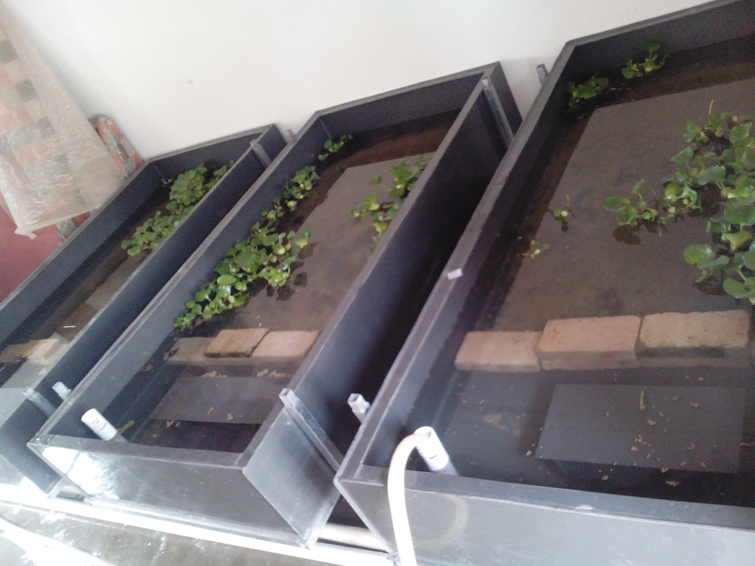 求解答,北海哪里有定制pp板或者pvc板龟池的