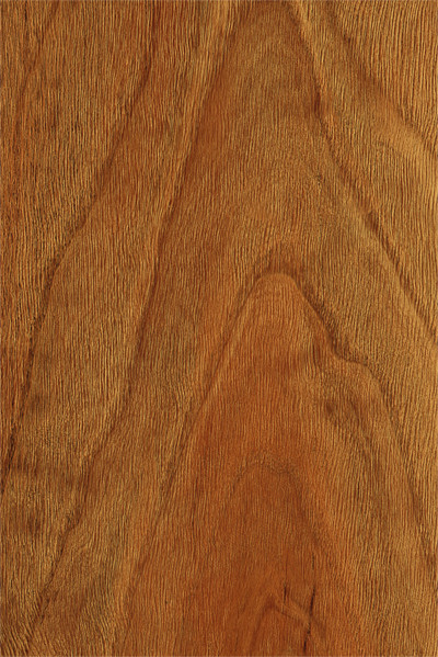 举报 ┊  atw 003 红檀木   5 人浏览