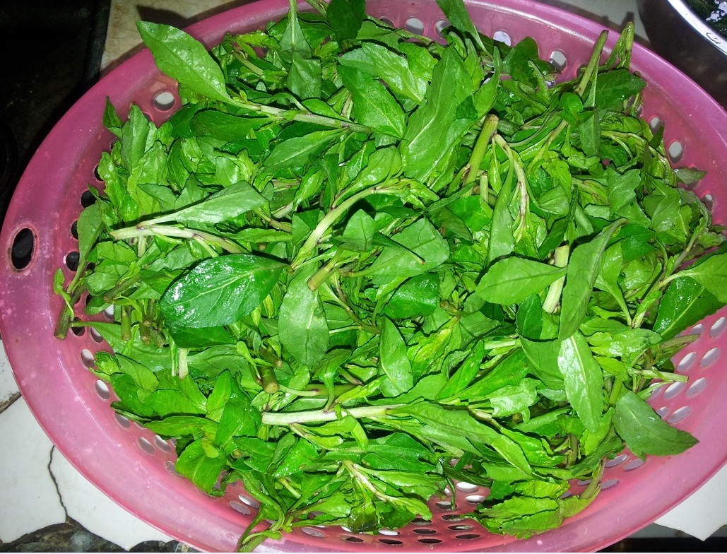 妈妈带回来的那些菜-美食专业户-北海365网(beihai365.com)