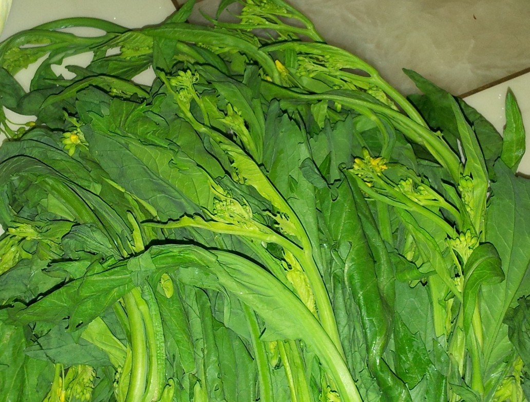 妈妈带回来的那些菜