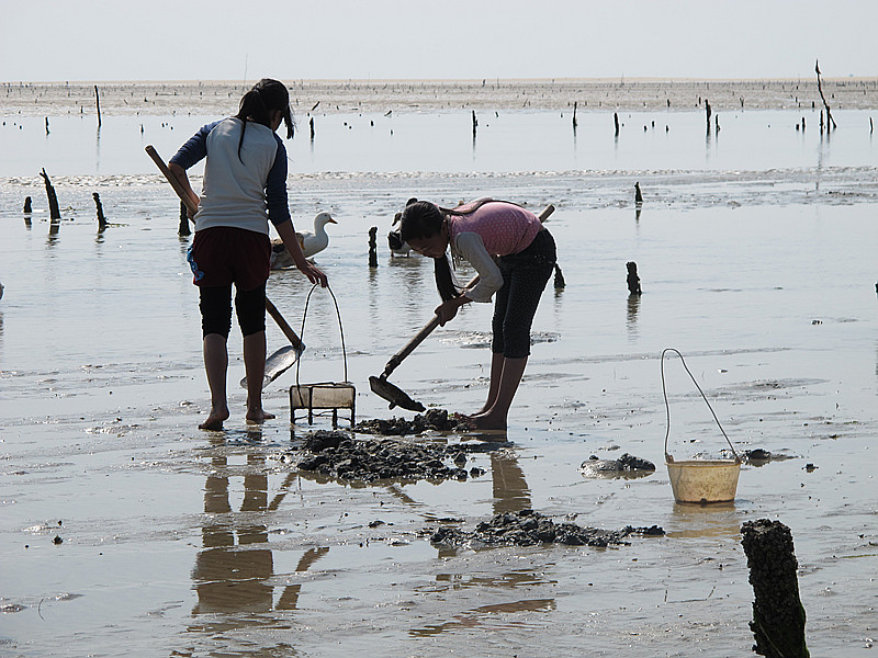 新春带着小朋友去挖沙虫