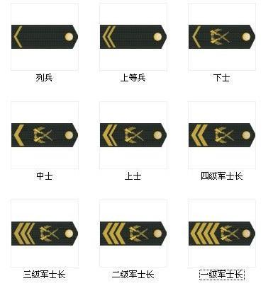 中国的军衔肩章图片图片