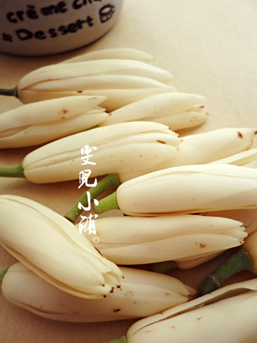 护肤新宠爱《自制纯露》茉莉花,玉兰花鲜花纯露