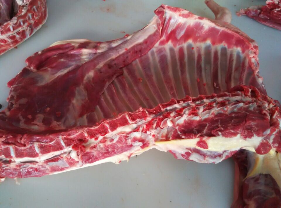 用手抓来吃当然系羊排比较好了,羊最好要挑阉羊买,羊排最好要挑前蹄