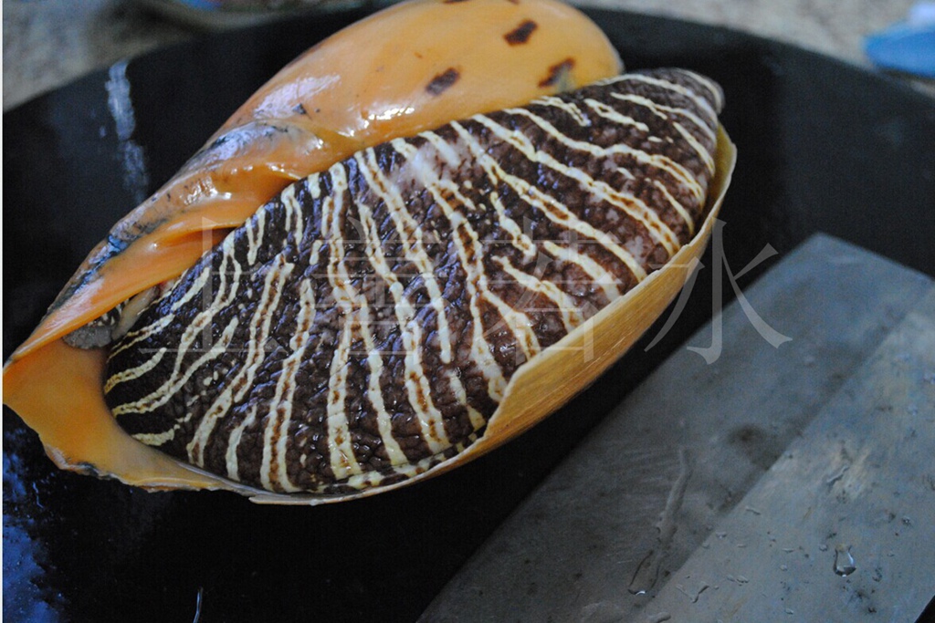 油螺一只精华1美食达人北海通华少暖暖赞引用回复5楼