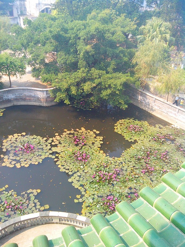 安铺古镇公园一游