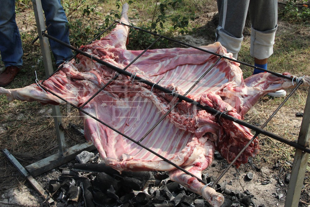 帅哥和美女在野外不得不说的故事第四季烤全羊野炊烧烤全程帖子更新