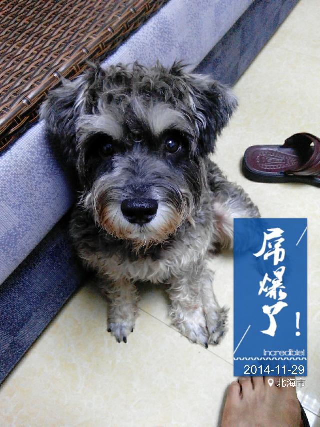猫狗交易-北海365网(beihai365.com)