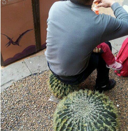 您的屁股真够硬的,一定有练过