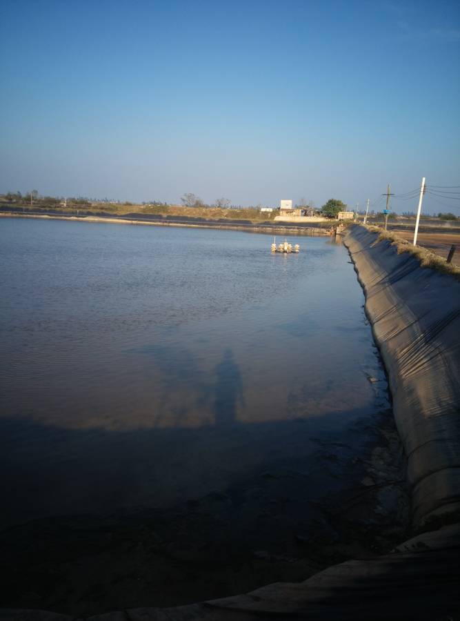 龙潭附近13亩虾塘出售