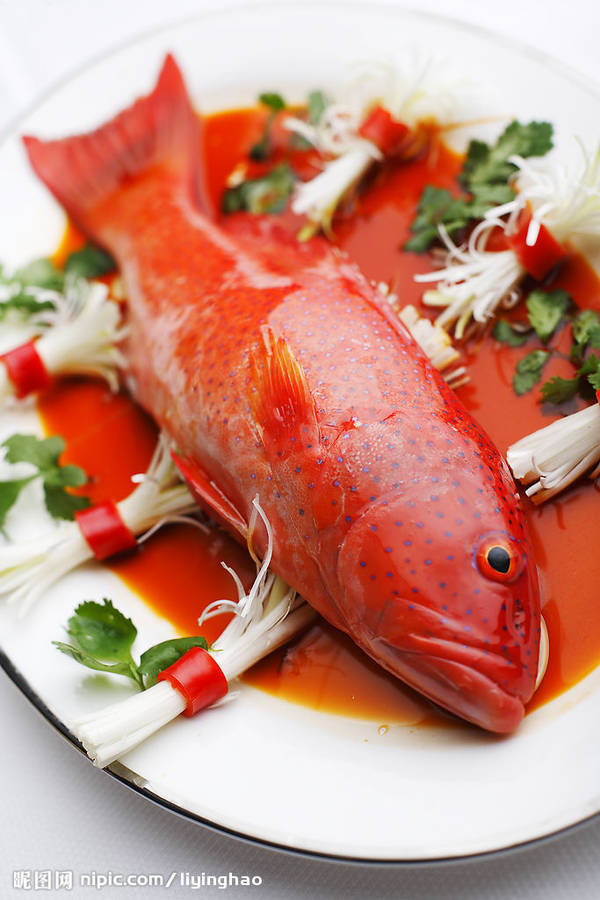 需要品种:金枪,石斑,章红,红鱼,将军甲,青衣等等   鱼要漂亮新鲜,价钱