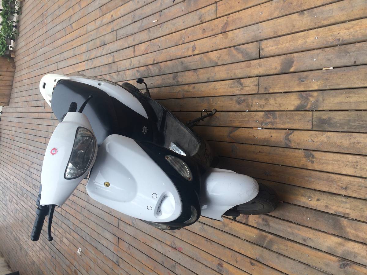 上海铃木王小绵羊