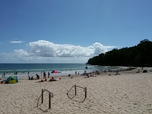 沙滩上横七竖八的躺满了半裸人体.