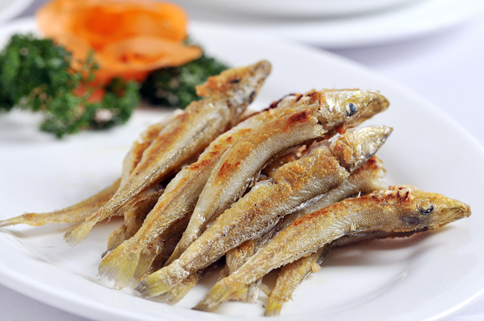 【我钓过的……】沙箭的钓法