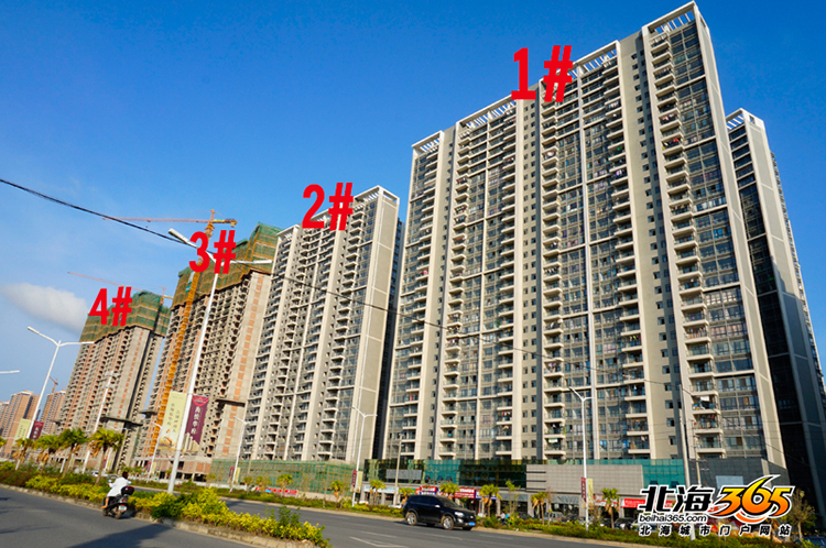 一期的三栋楼已经交付入住