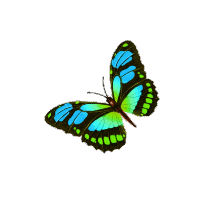 400_400gif 动态图 动图