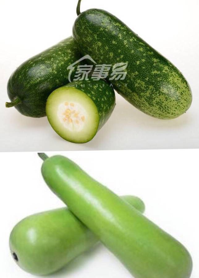 满汉姐姐,图一就系我讲个冬瓜,有d人又叫节瓜,图二应该系你口中