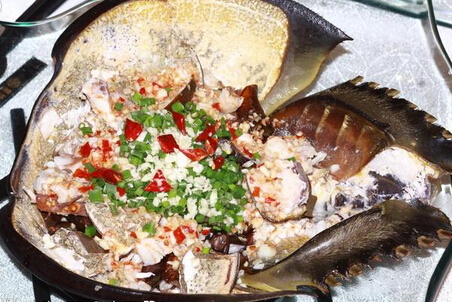 鲎问:"我还能在这片我所热爱的土地生存多久?