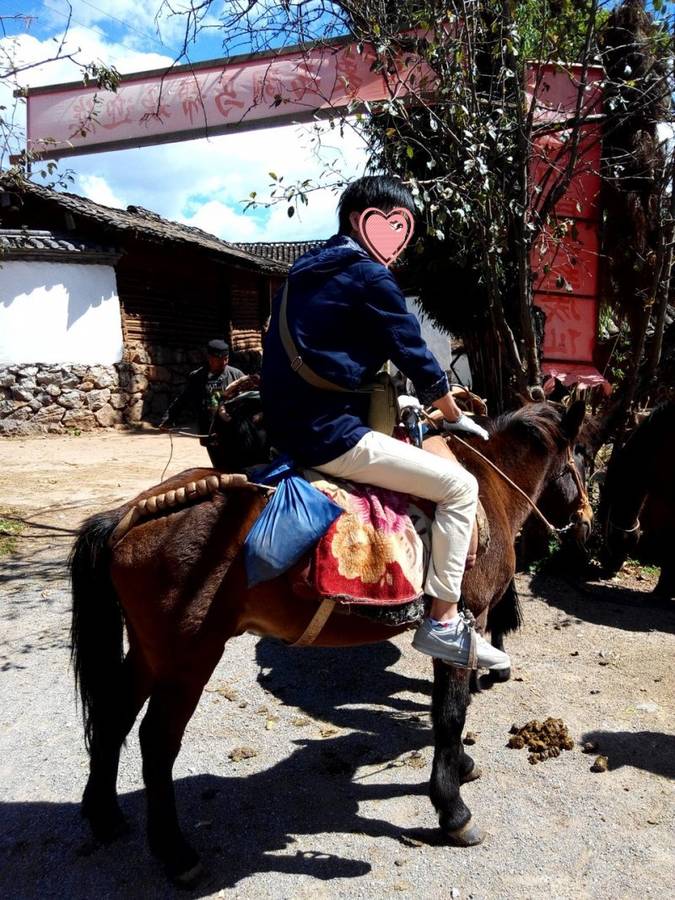说是茶马古道,其实好坑爹哟,给你骑上马背带你上山溜达溜达,茶马古道