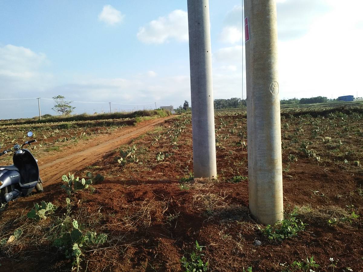 六分地里突然长出来的三根电线杆