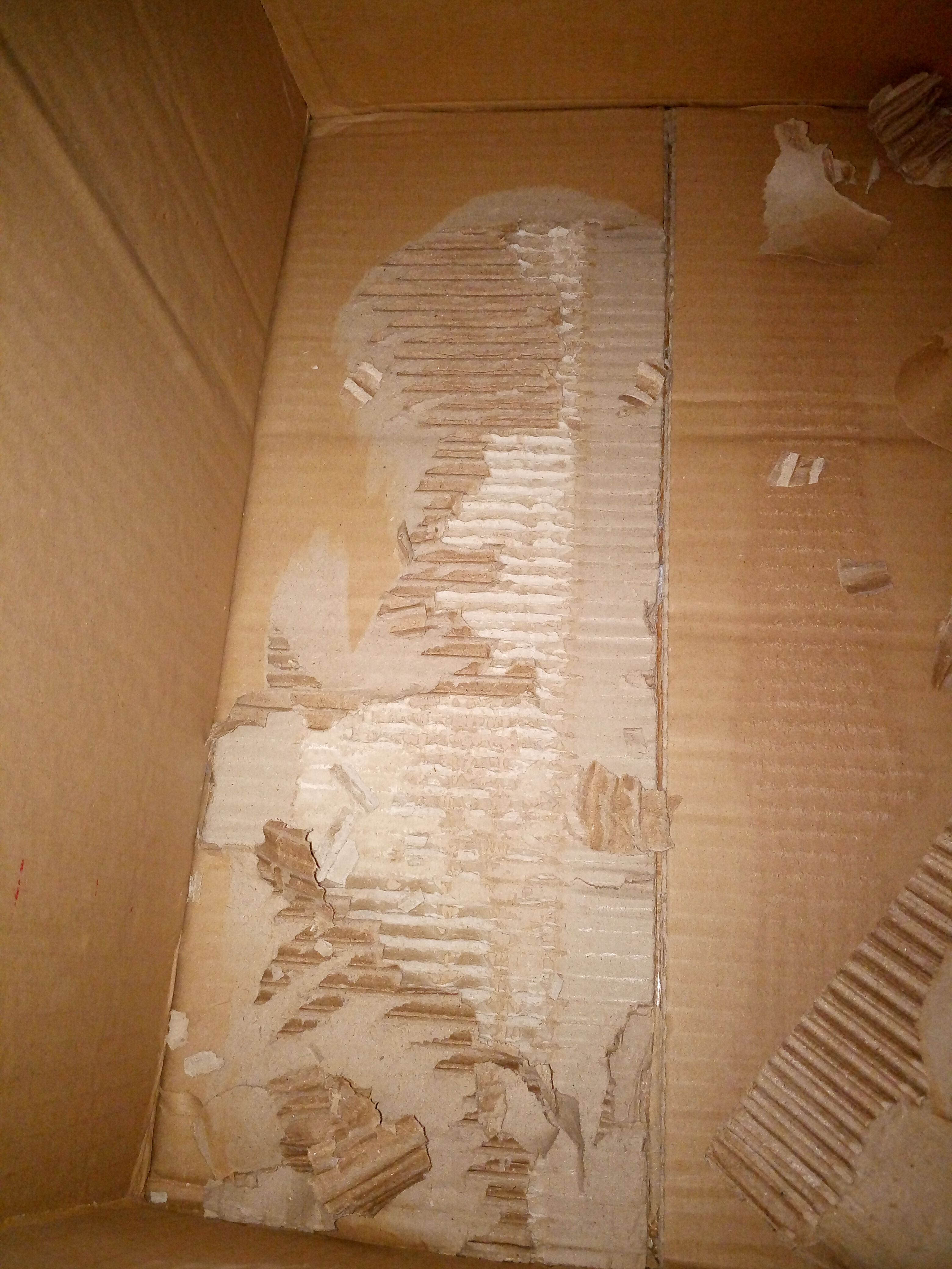 水泥纸箱再度来袭,提醒各位网友买果需谨慎!