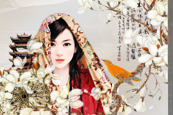 600_400gif 动态图 动图