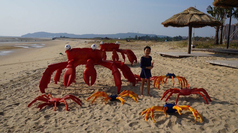 "巨蟹""海狮"纷纷抢滩大墩海-镜头里的北海-北海365网(beihai365.com)