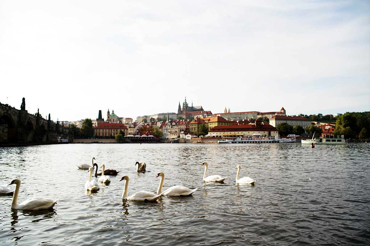 欧洲(二)有一个地方只有我们知道-色影沙龙-北海365网(beihai365.com)